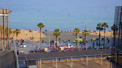 4DCellFate (FP7 European Collaboration Project) fll mvie