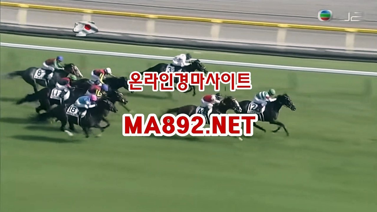 일본경마 M A 892 점 NET
