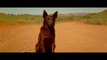 Red Dog: True Blue - First Look Teaser Australian Film (Levi Miller, Bryan Brown)