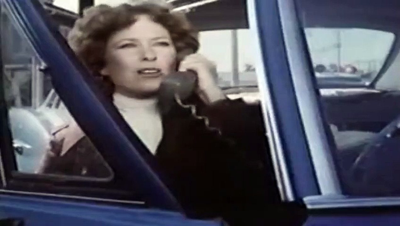 Lou Grant  S 02 E 14  Vet
