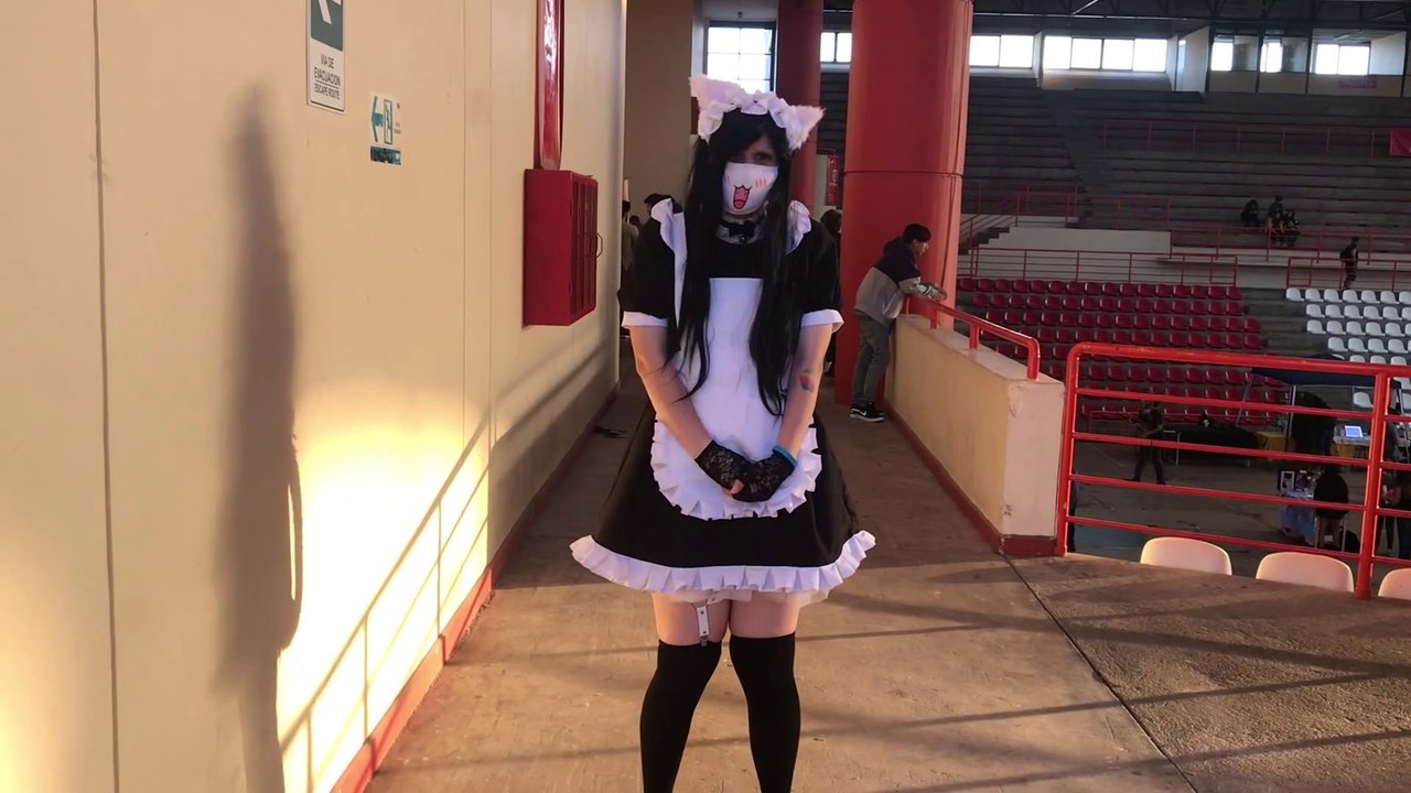 Cosplay Maid Neko Trapito (version 2)