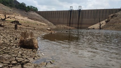 Papanasam Dam: வரலாறு காணாத சரிவை சந்திதுத்த பாபநாசம் அணை- வீடியோ