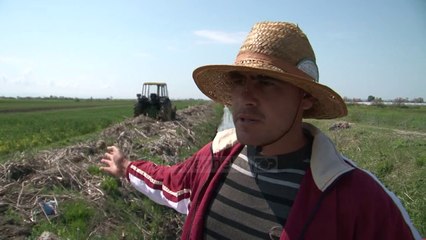 Lushnje, pastruan kanalet por bllokuan rrugën me mbetje - Top Channel Albania - News - Lajme