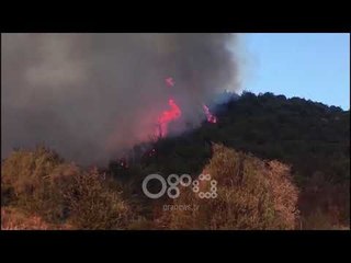 RTV Ora - Pyjet drejt asgjësimit, në Elbasan vijojnë prerjet e pyjeve