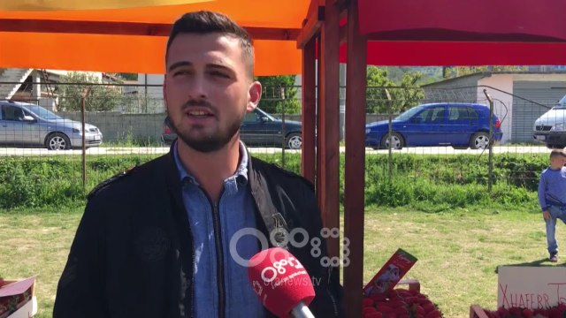 RTV Ora - Festa e luleshtrydhes, fermerët ankohen për çmimet dhe mungesën e investimeve