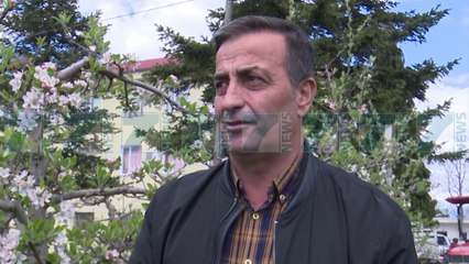 KORÇE, BLETET RREZIKOHEN NGA KIMIKATET - News, Lajme - Kanali 7