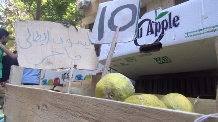 بعد ارتفاع ثمنه.. ليمون اضاليا  ينتشر في الأسواق الكيلو بـ 15