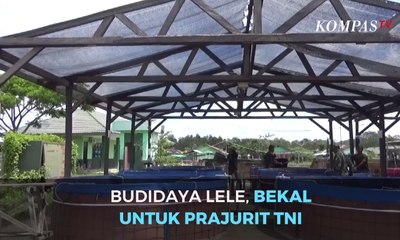 Budidaya Lele, Bekal Untuk Prajurit TNI