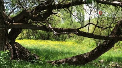 Sıcak hava renk cümbüşünü beraberinde getirdi