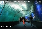 Le plus grand aquarium d'Europe : Nausicaá