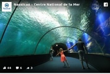 Le plus grand aquarium d'Europe : Nausicaá