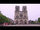 Mrekullia në “Notre Dame”, 180 mijë bletë i shpëtojnë zjarrit - Top Channel Albania - News - Lajme