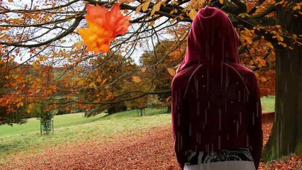 Лирический видеоклип - Дожди