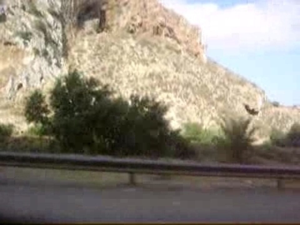 frontiere algerie (marniya) maroc (oujda)