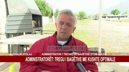 Tải video: ADMINISTRATORËT: TREGU I BAGËTIVE ME KUSHTE OPTIMALE