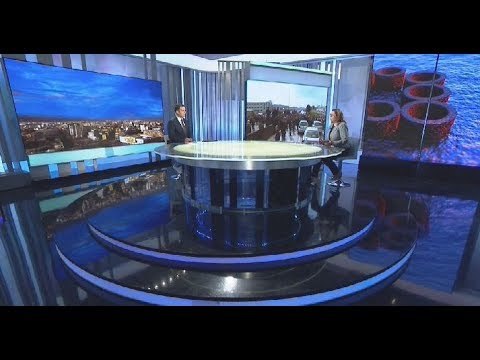 Protestat e opozitës, Dhurata Cupi e ftuar në RTV Ora