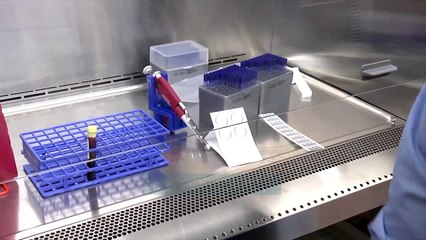 Basha: pagat e mjekeve 1200 euro - Lajme - Vizion Plus