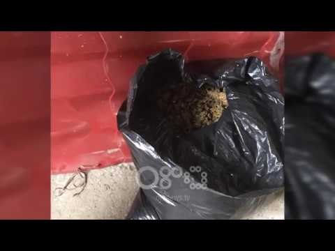 RTV Ora - Drogë dhe armë, arrestohen nga policia 4 të rinj në Vlorë dhe Fier