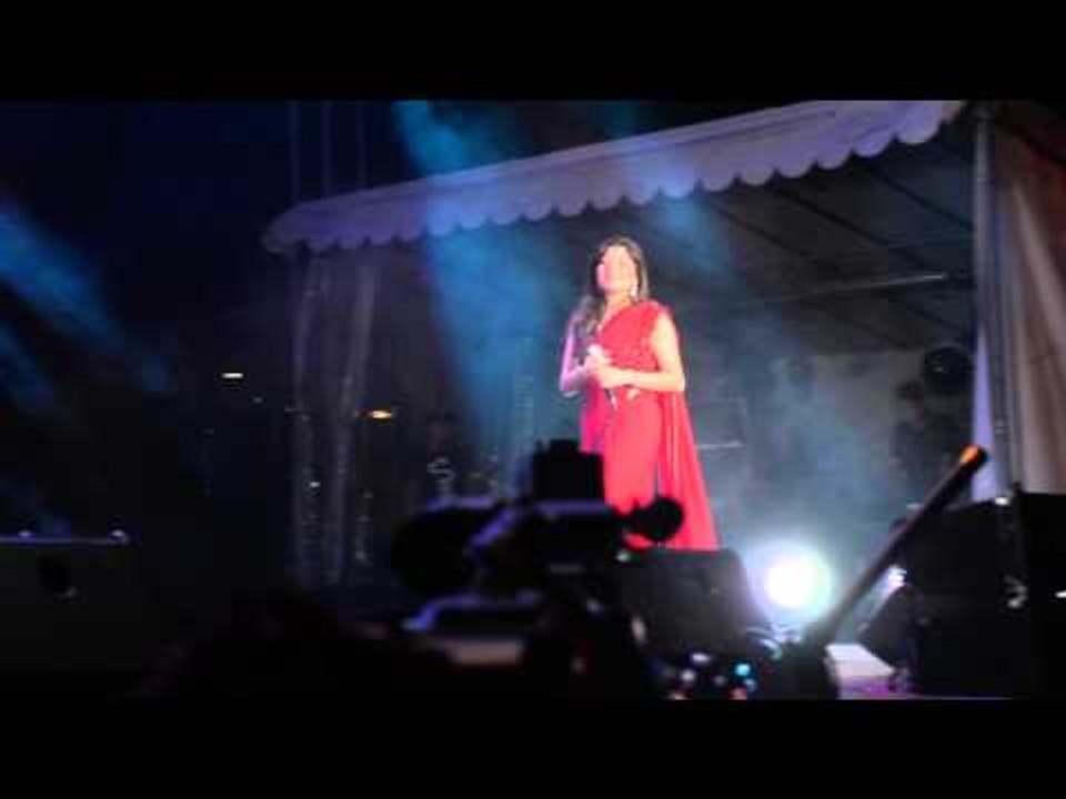 Kanika Kapoor performing 'Baby Doll' at Sundown Festival 2014