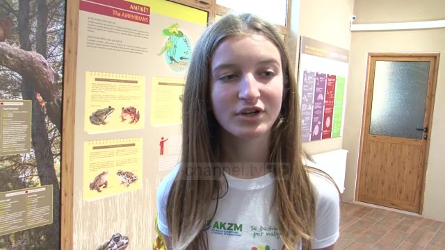 Më shumë vizitorë në Divjakë, banorët kërkojnë të certifikohen si guida - Top Channel Albania