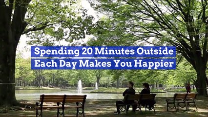 It Takes Only Twenty Minutes To Make Your Day Better