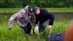 Un silure de 2,04 mètres de 60kg pêché dans l'étang de Gondrexange