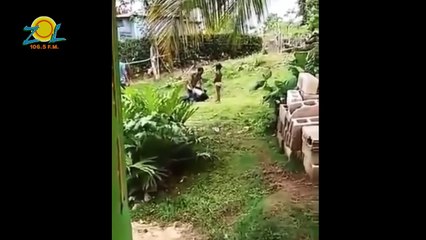 Anibelca Rosario: Hay que repensar como estamos combatiendo la violencia intrafamiliar