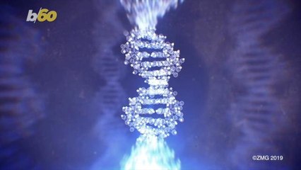 Signs of Extraterrestrial Life Discovered in South African Mountains