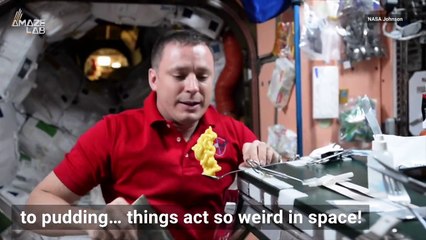 Honey’s Behavior in Zero Gravity is Super Weird and Cool