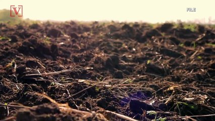 Washington State Becomes The First in the Nation to Allow Human Composting