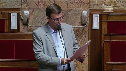 amendement Larive remarque Ferrand Réforme Règlement