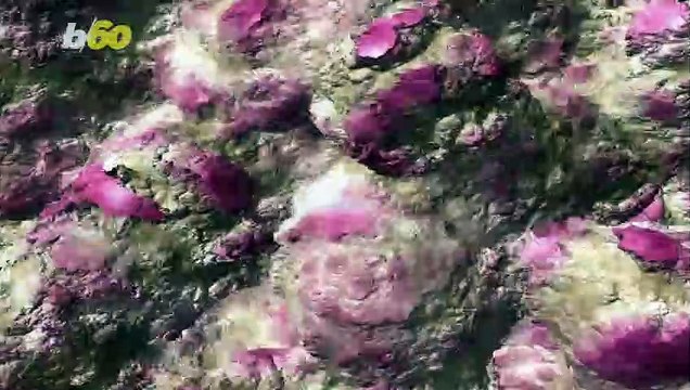 Signs of Extraterrestrial Life Discovered in South African Mountains