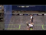 Squash : British Open 2012 Quarter-Finals Roundup Part1