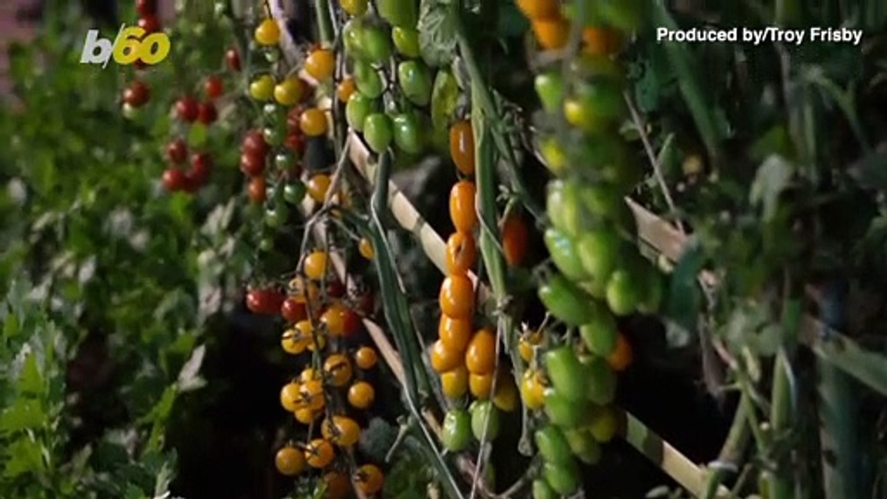 Cento Facing Class-Action Suit Over Authenticity of Its San Marzano Tomatoes