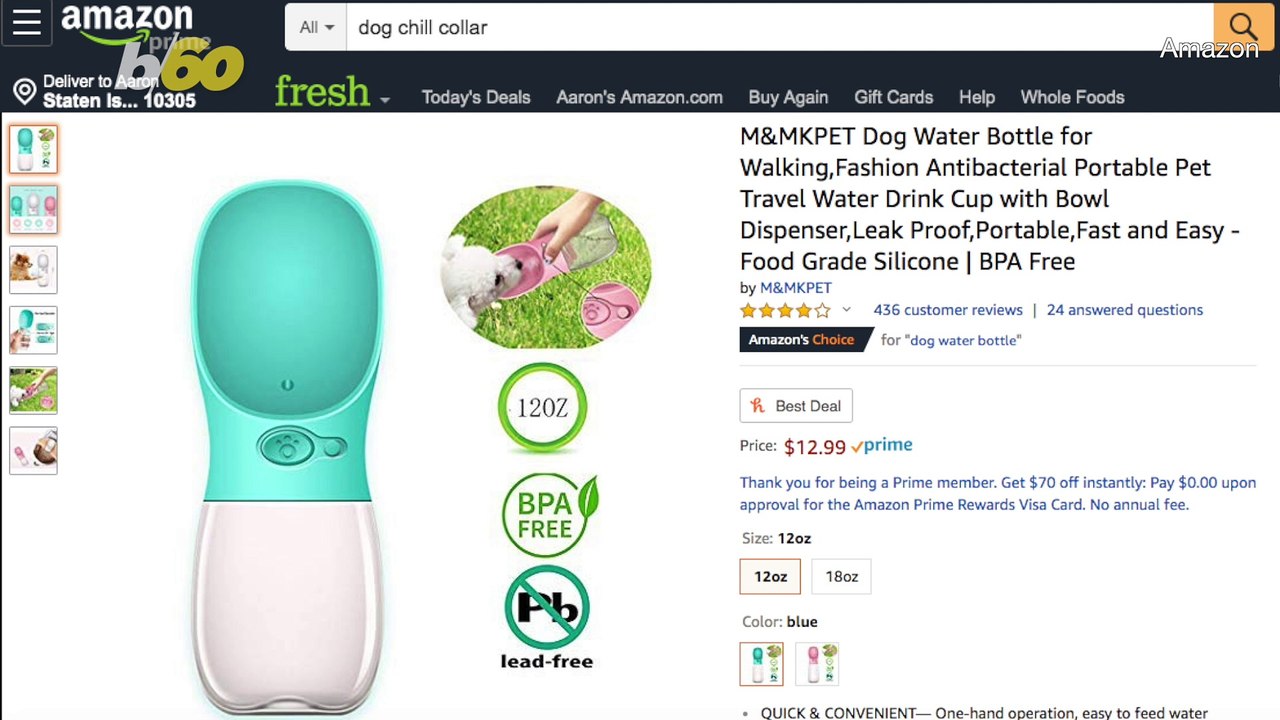 Life-Saving Tips to Keep Your Dog Looking and Feeling Cool This Summer