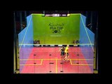 Squash : Kuwait PSA Cup 2013 Final Roundup Ramy Ashour v James Willstrop