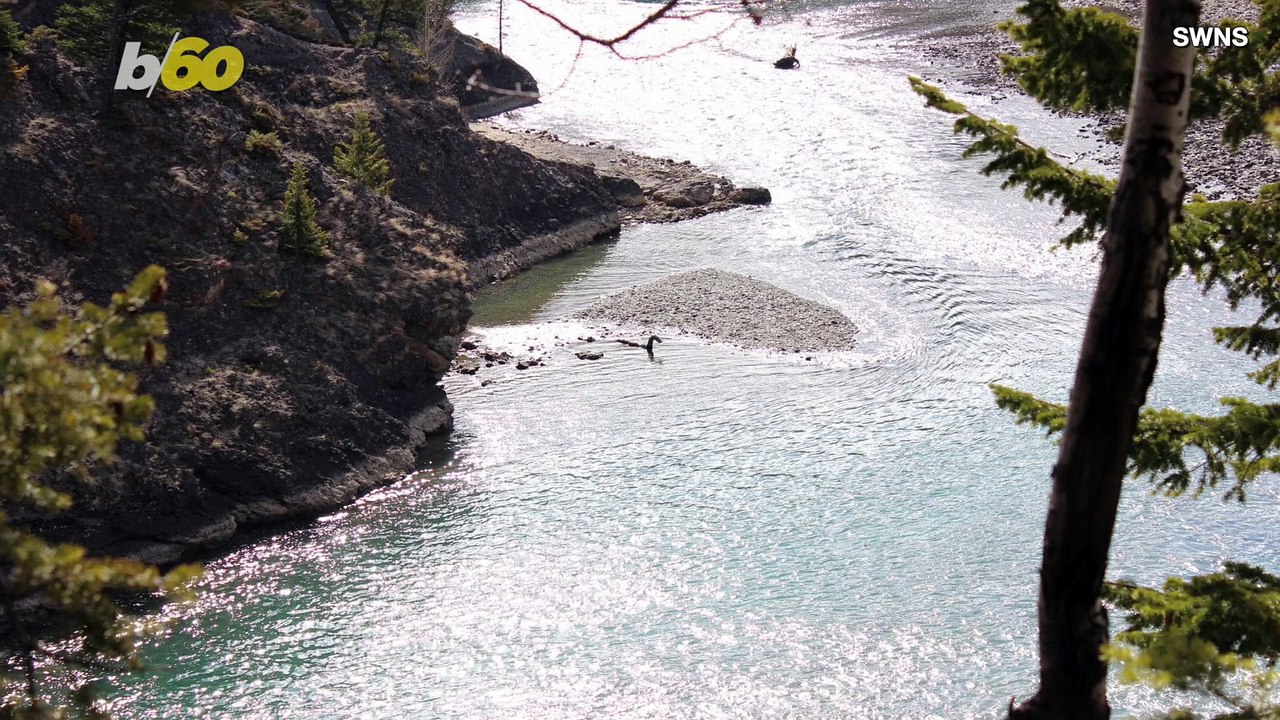 Nessie On Vacation? Florida Student Claims They Snapped a Photo of the Loch Ness Monster In Canada!