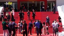 Cannes Film Festival Glamour Comes With a High Price Tag
