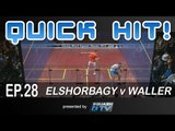 Squash : Quick Hit! Ep.28 - Elshorbagy v Waller