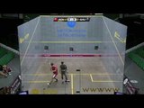 Squash : Qatar Classic 2013 - Round1 - Day2 Roundup pt2
