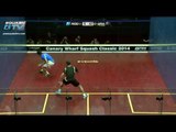 Squash : Megarallies EP60 : Rodriguez v Grant