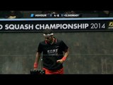 Squash : Quick Hit! EP 108  : Ashour v Elshorbagy : World Championship 2014
