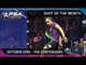 Squash: Shot of The Month - October 2016: The Contenders (Bumper Edition)