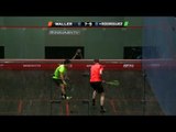 Squash: Quick Hit! EP173: Waller v Rodriguez : British Grand Prix 2014
