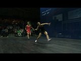 Squash: British Open 2015 Round Up : Women's Quarter-Finals