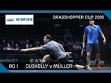 Squash: Cuskelly v Müller - Grasshopper Cup 2016 - Rd 1 Highlights