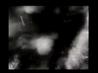 Bonjour les Hirondelles