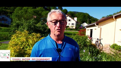 Fête de la Meurthe - Teaser