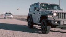 Automobile : la nouvelle Jeep® Wrangler JL élue « 4x4 de l’Année 2019 »
