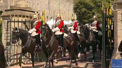 Papa gaga, le prince Harry ne "quitte jamais des yeux" son fils Archie